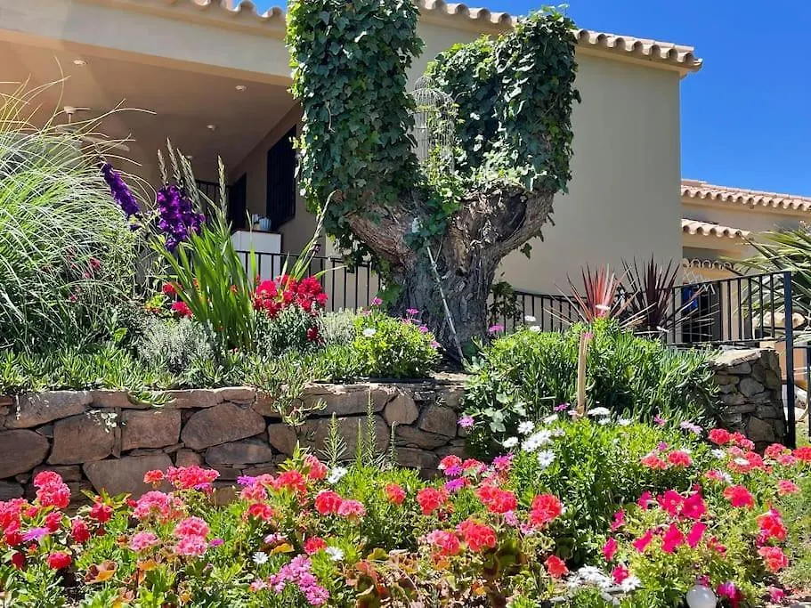 Apartment El Sentimiento Don Javier Studio Torrox