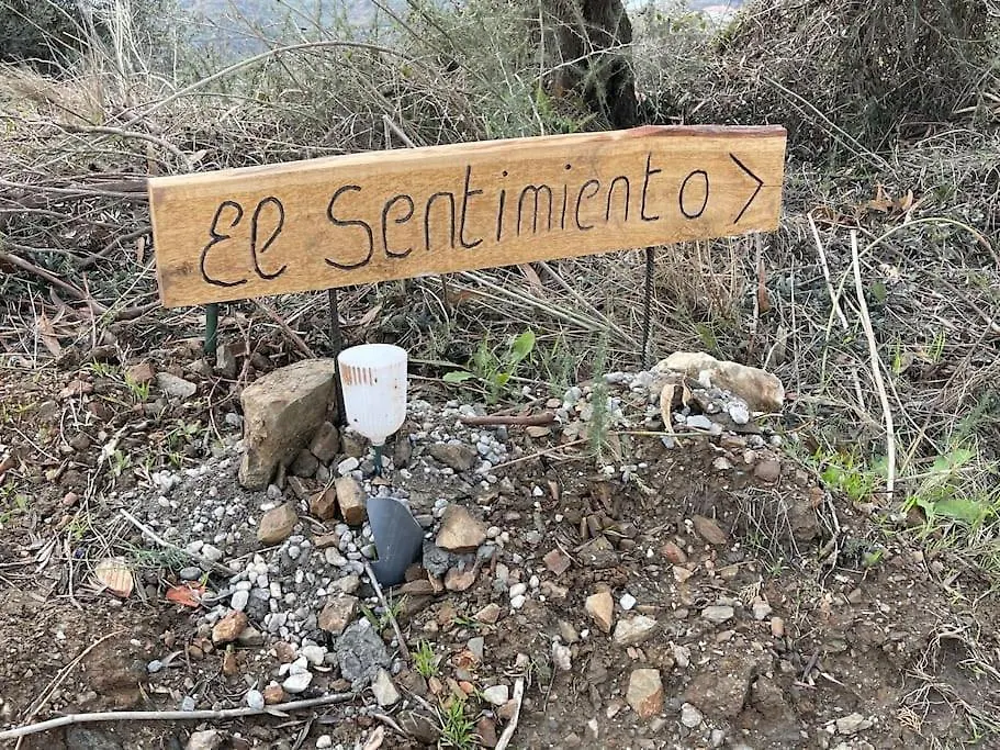 Apartment El Sentimiento Don Javier Studio Torrox